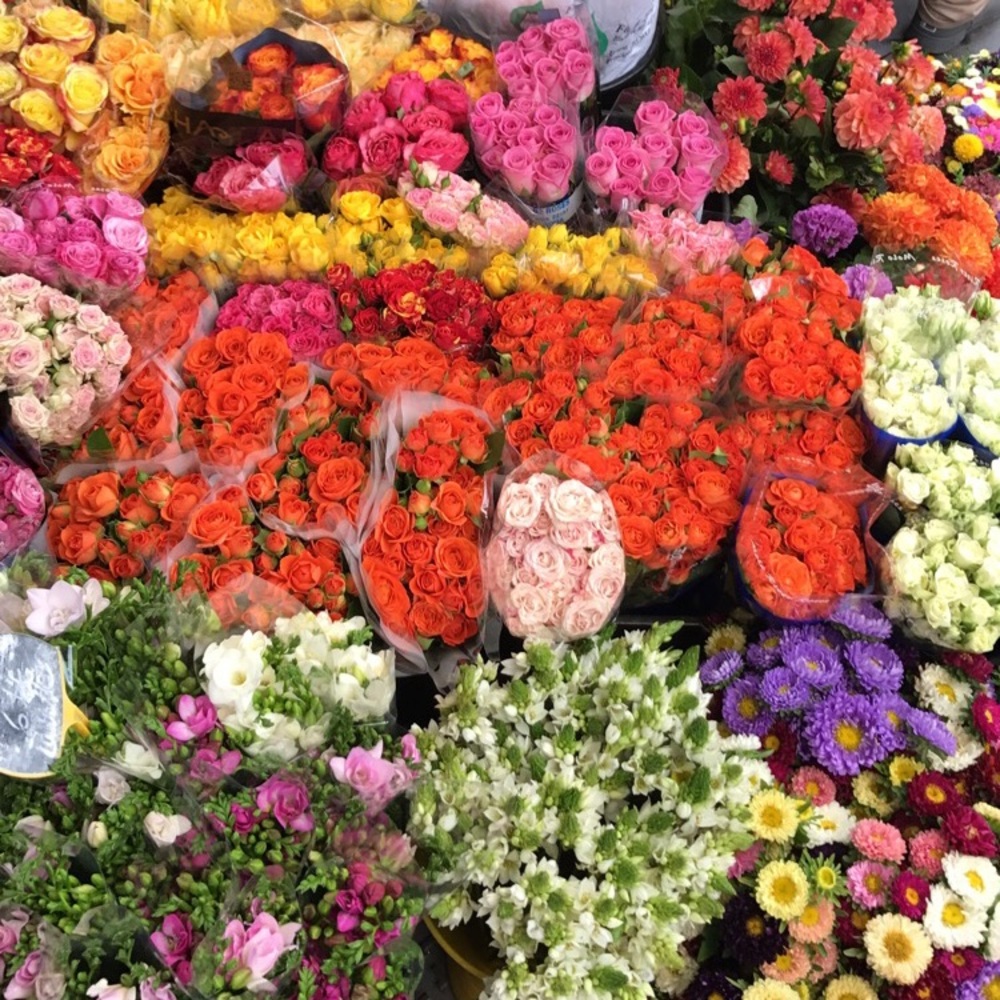 💐🌸🌼🌺🌷💐